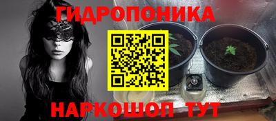 таблы Можга
