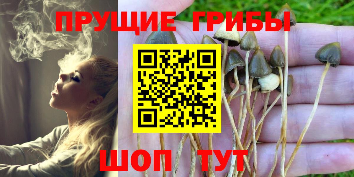 Галлюциногенные грибы Psilocybine cubensis  Вход с VPN  Феодосия  Псилоцибиновые грибы Cubensis 